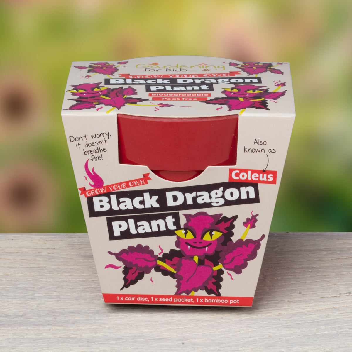 Packaging for a "Grow Your Own Black Dragon Plant" kit, showing a red bamboo pot and cartoon dragon-faced Coleus.