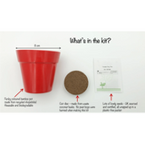 Cherry tomato growing kit with a red bamboo pot, a soil coir disc, and a packet of seeds.