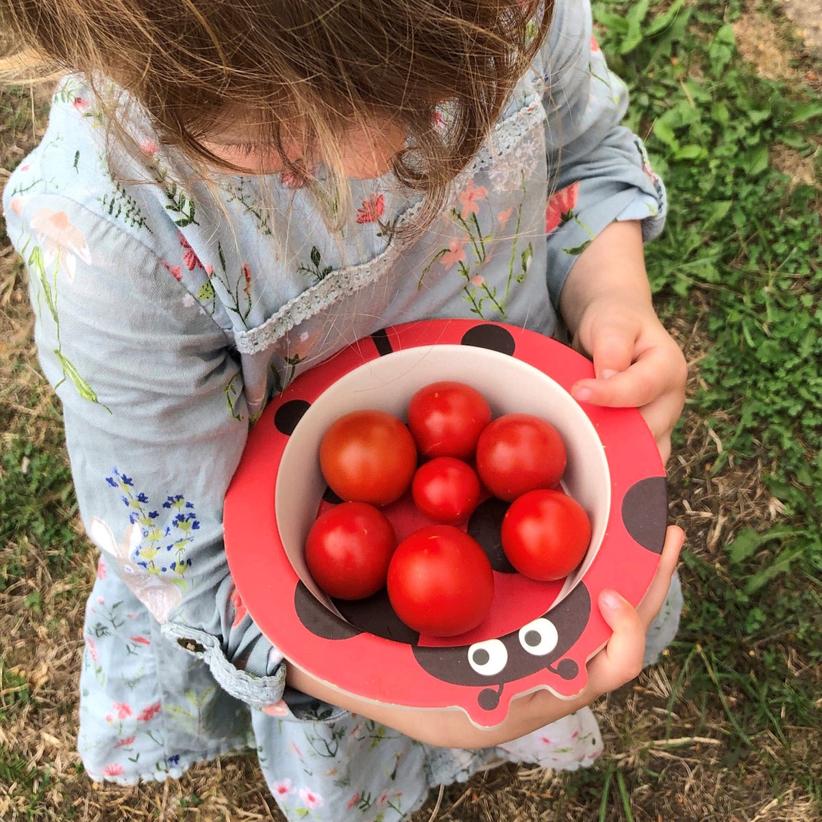 A young child holds a ladybug-patterned bowl filled with freshly harvested red cherry tomatoes.