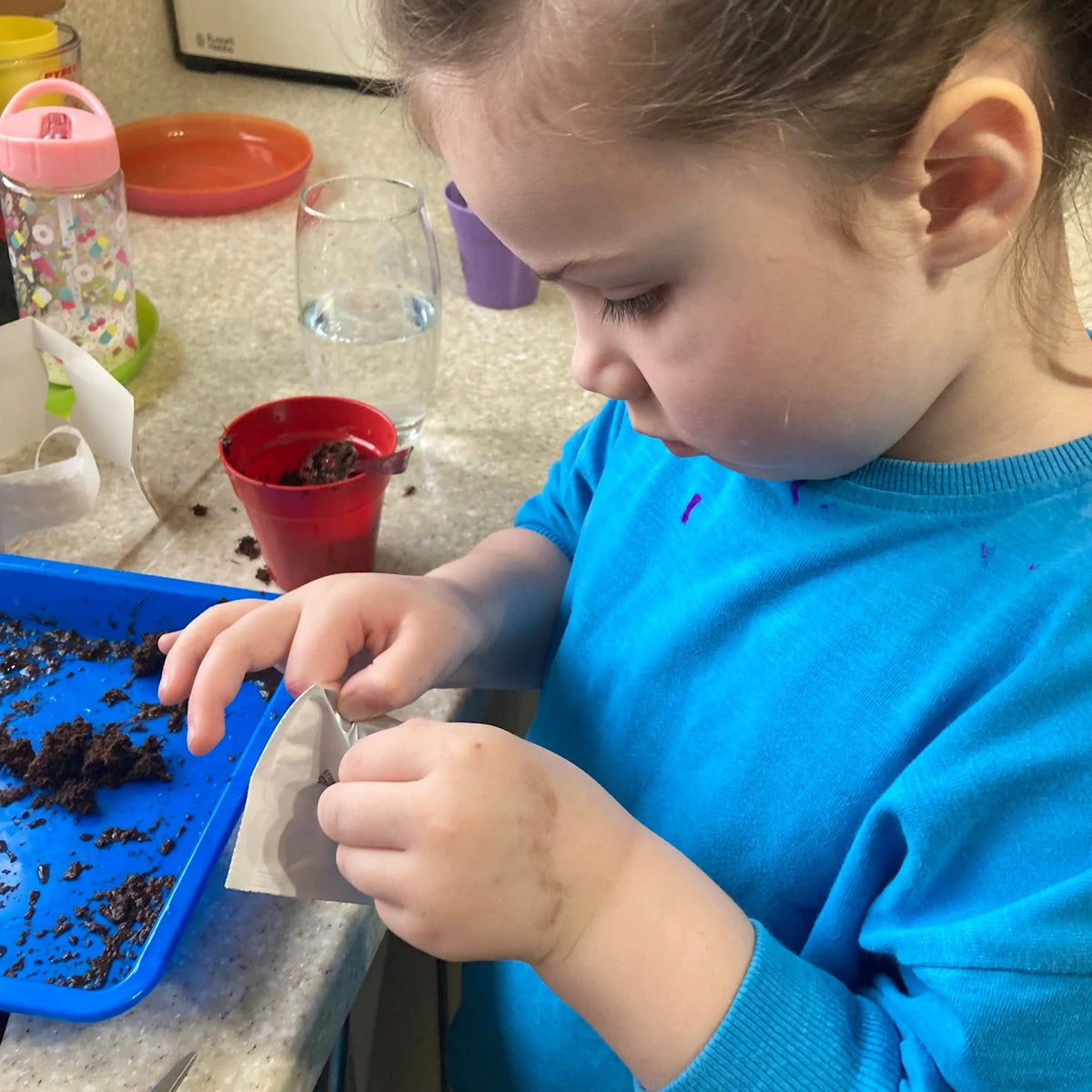 A young child in a blue shirt opening a seed packet next to a small red pot and soil on a tray.