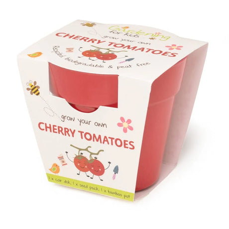 A red bamboo plant pot packaged in a "Grow Your Own Cherry Tomatoes" cardboard kit for kids.