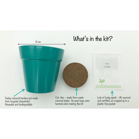 Cress growing kit with a teal bamboo pot, a soil coir disc, and a packet of seeds.