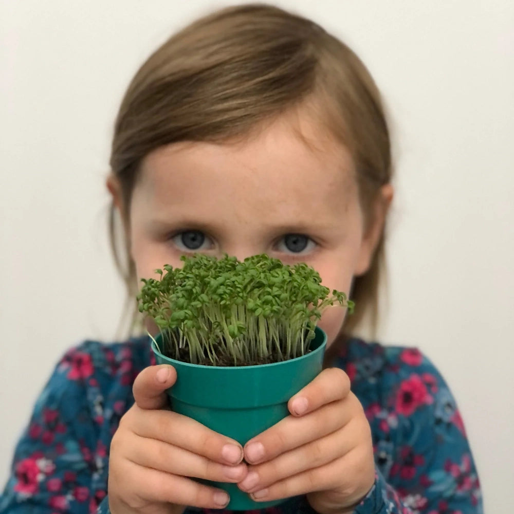 A young girl holds up a small teal pot filled with freshly grown, leafy green cress sprouts.