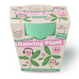 Packaging for a "Grow Your Own Dancing Plant" kit, showing a mint green pot and animated Mimosa pudica plants.