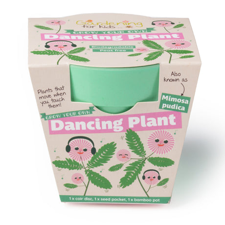 Packaging for a "Grow Your Own Dancing Plant" kit, showing a mint green pot and animated Mimosa pudica plants.