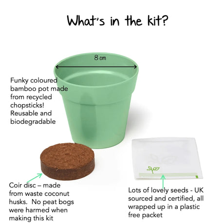 Plant kit contents: light green bamboo pot, coir disc, and seed packet with descriptive text labels.