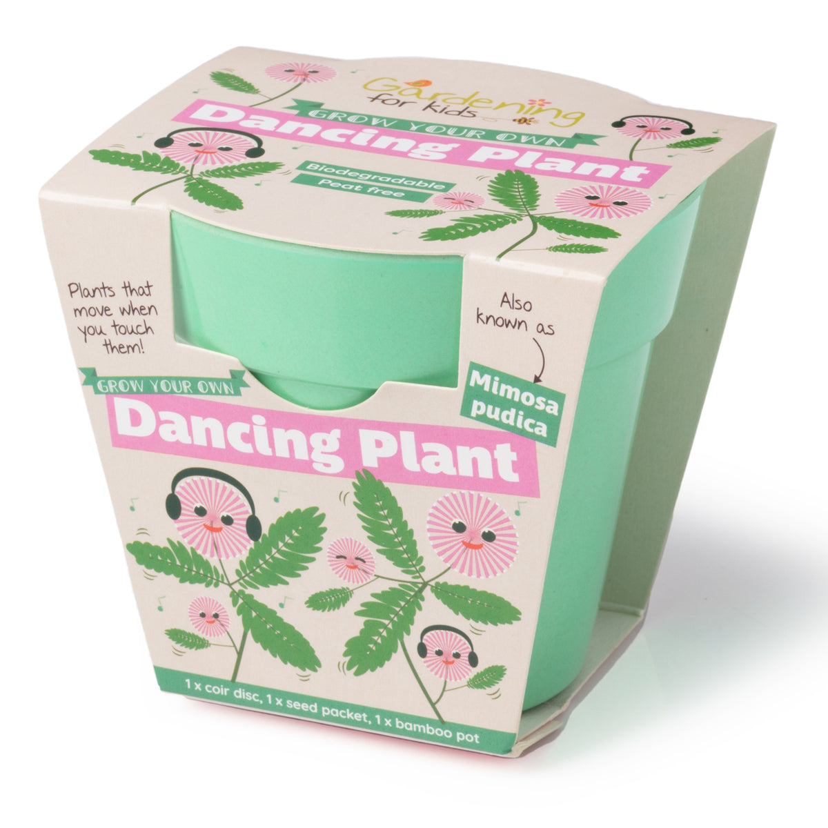Packaging for a "Grow Your Own Dancing Plant" kit featuring a mint-green bamboo pot.