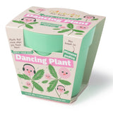 Packaging for a "Grow Your Own Dancing Plant" kit featuring a mint-green bamboo pot.