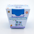 Blue packaging for a "Grow Your Own Forget-me-nots" kit featuring a blue bamboo pot inside.