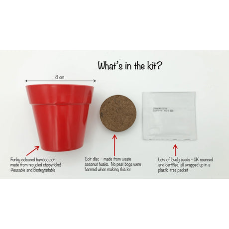 A red plant pot, a coconut coir disc, and a seed packet laid out on a white background.