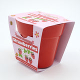 Red bamboo plant pot in pink cardboard packaging for a children's "Grow Your Own Strawberries" kit.