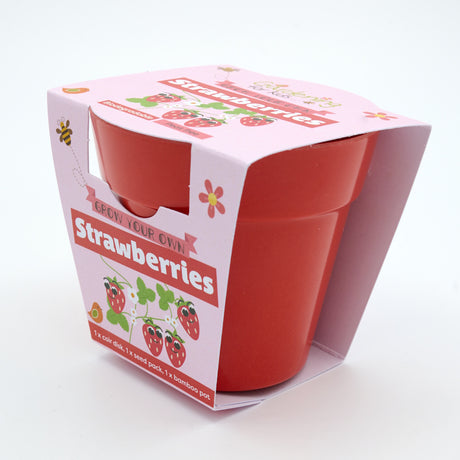 Red bamboo plant pot in pink cardboard packaging for a children's "Grow Your Own Strawberries" kit.