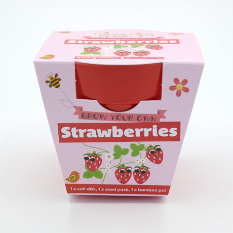 Pink packaging for a "Grow Your Own Strawberries" kit with a red bamboo pot inside.