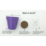 Wildflower growing kit with a purple bamboo pot, a soil coir disc, and a packet of seeds.