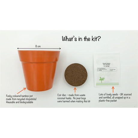 Sweet pepper growing kit with an orange bamboo pot, a soil coir disc, and a packet of seeds.