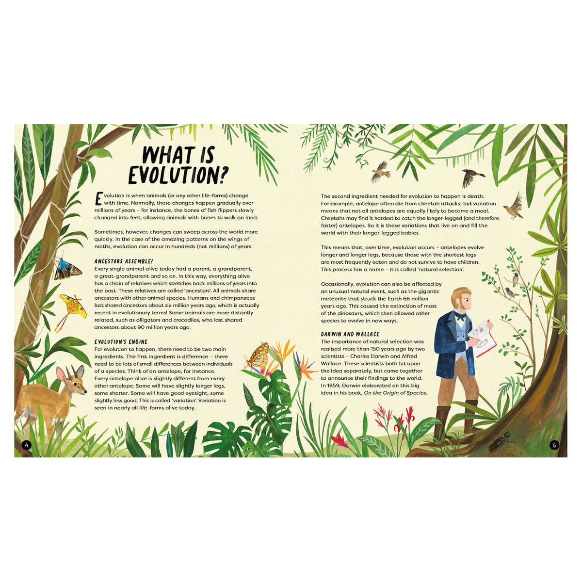 Illustrated educational book spread titled "What Is Evolution?" featuring Charles Darwin, animals, and lush jungle plants.