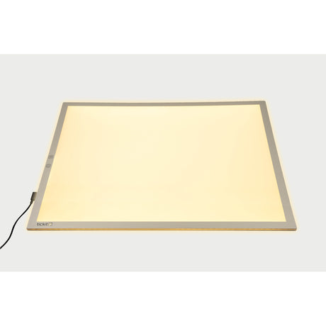 A large, slim LED panel with adjustable color settings, ideal for sensory play, light exploration, and enhancing visual learning activities.