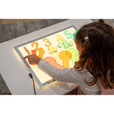Colour Change Light Panel A3