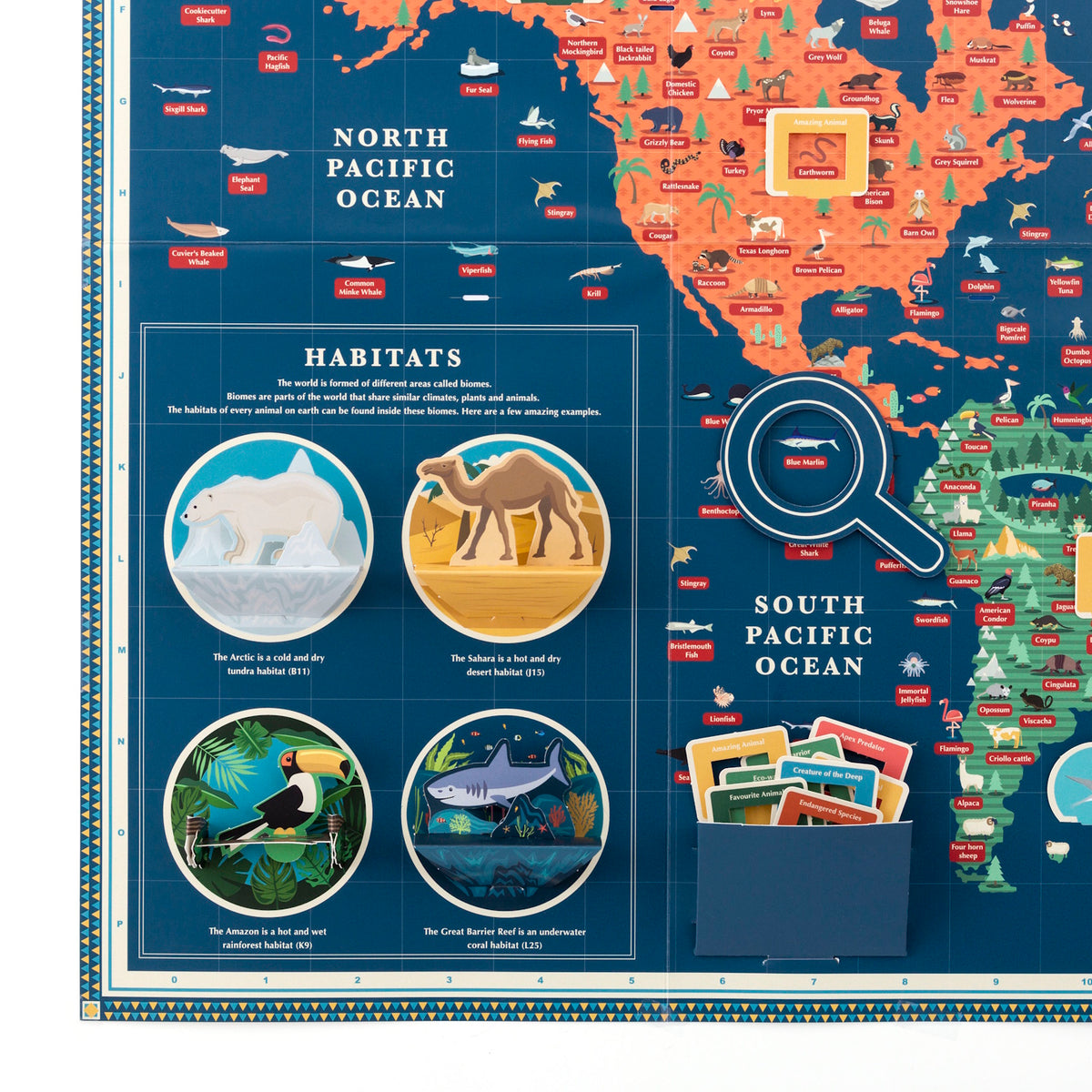 Interactive world map display showing animal habitats, 3D pop-up biome circles, and a paper magnifying glass.