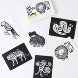 Art Cards for Baby - Jungle Animals - Infant Flash Cards