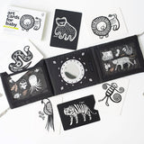 Baby Tummy Time Gallery Gift Set with Contrast Flash Cards