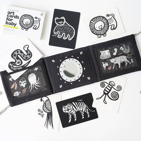 Baby Tummy Time Gallery Gift Set with Contrast Flash Cards