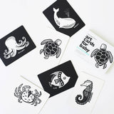 Art Cards for Baby - Ocean Animals - Infant Flash Cards