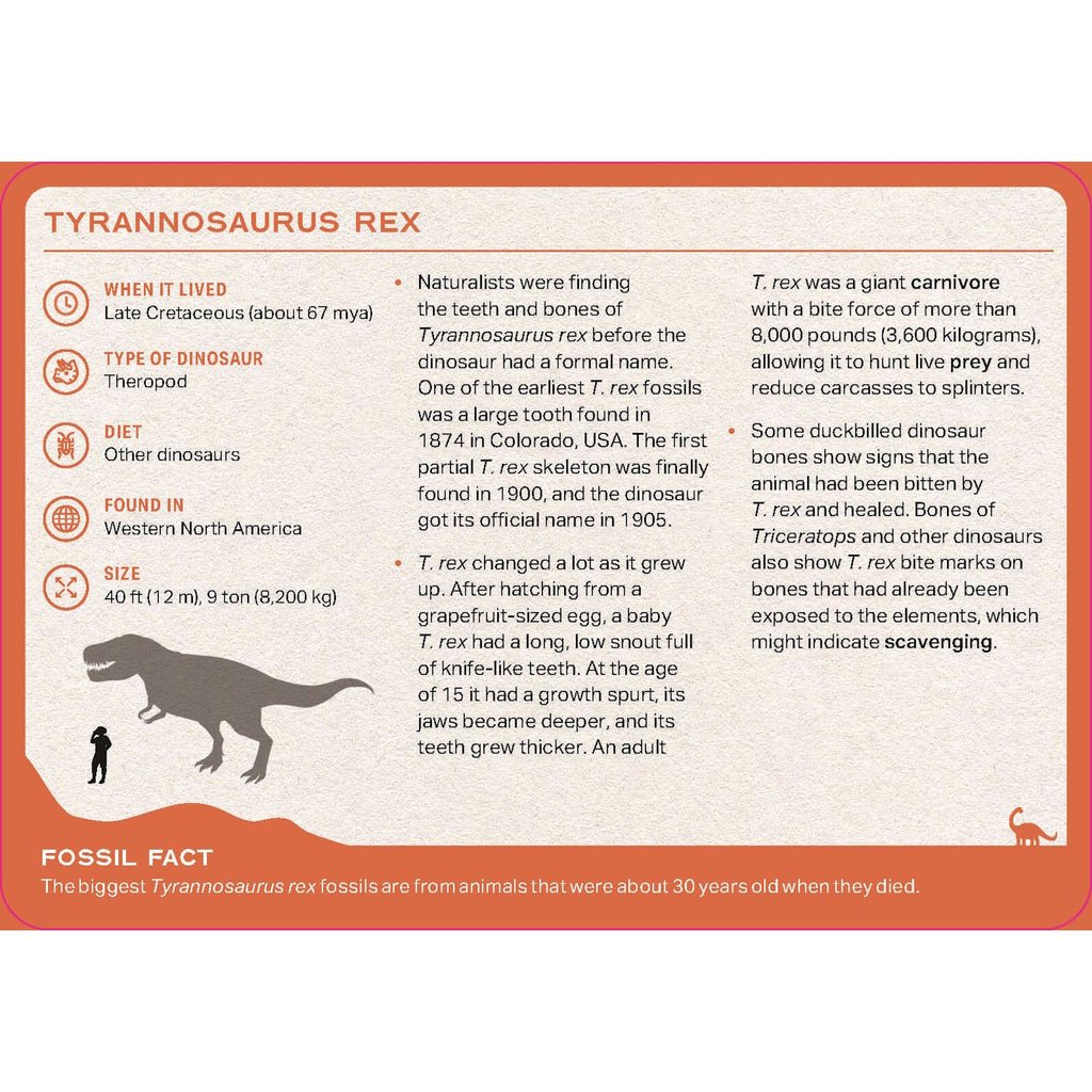 Featuring colourful illustrations and fun facts about a variety of dinosaurs, perfect for learning, games, and prehistoric play.