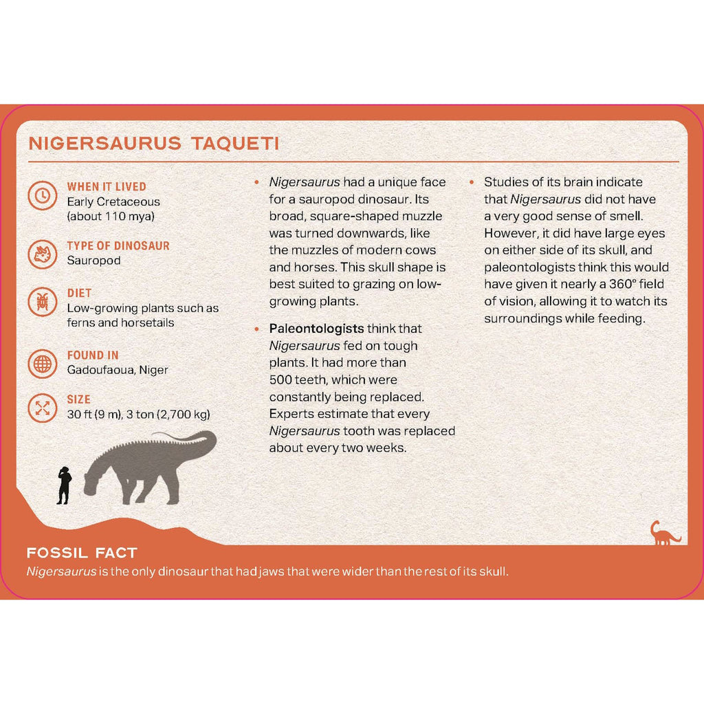 Featuring colourful illustrations and fun facts about a variety of dinosaurs, perfect for learning, games, and prehistoric play.