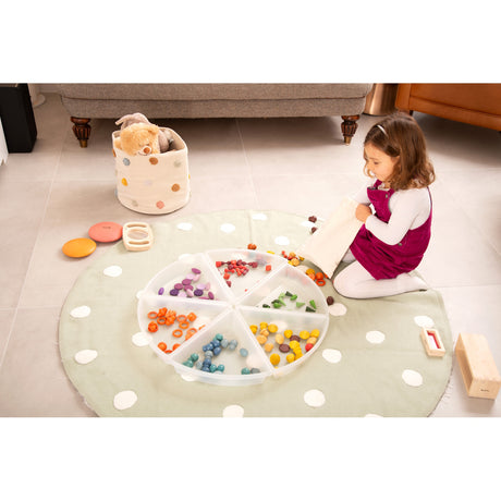 Discovery Trays Set