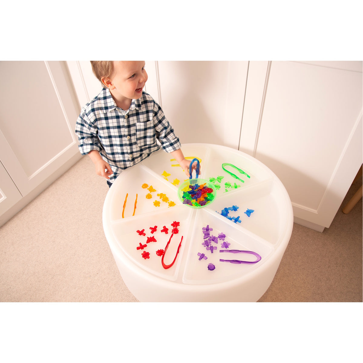 Discovery Trays Set