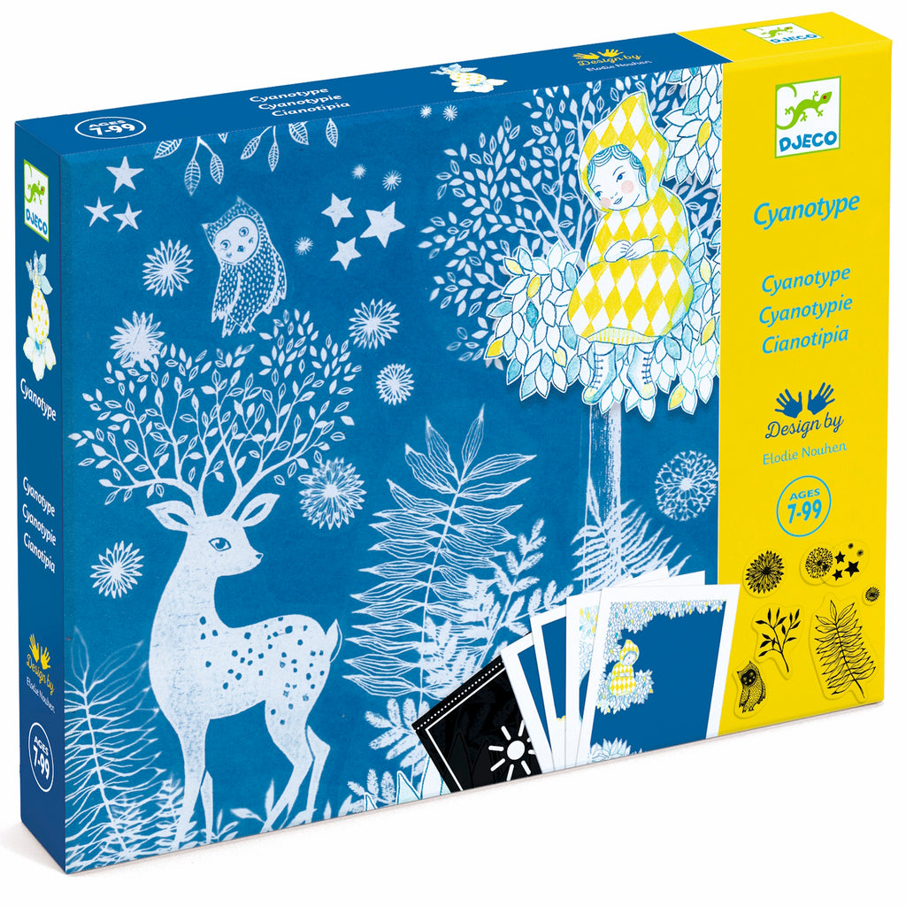 A creative activity designed for children aged 7 to 12 years. It introduces them to cyanotype, an early photographic process that produces blue-toned images.