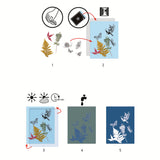 Djeco Paper - Cyanotype Art Starter Kit