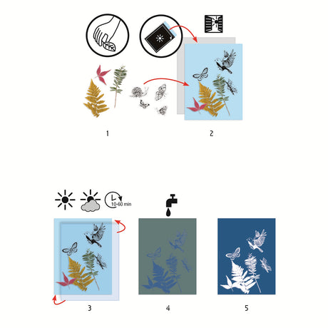 Djeco Paper - Cyanotype Art Starter Kit