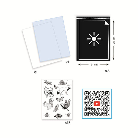 Djeco Paper - Cyanotype Art Starter Kit