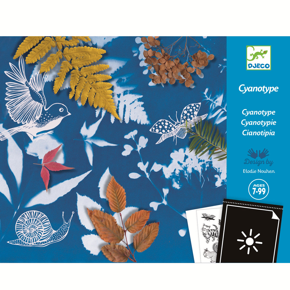 Djeco Paper - Cyanotype Art Starter Kit