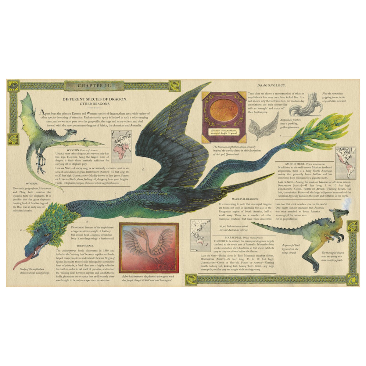 Dragonology book spread featuring vintage-style illustrations and text about Wyverns, Amphitheres, and Marsupial dragons.