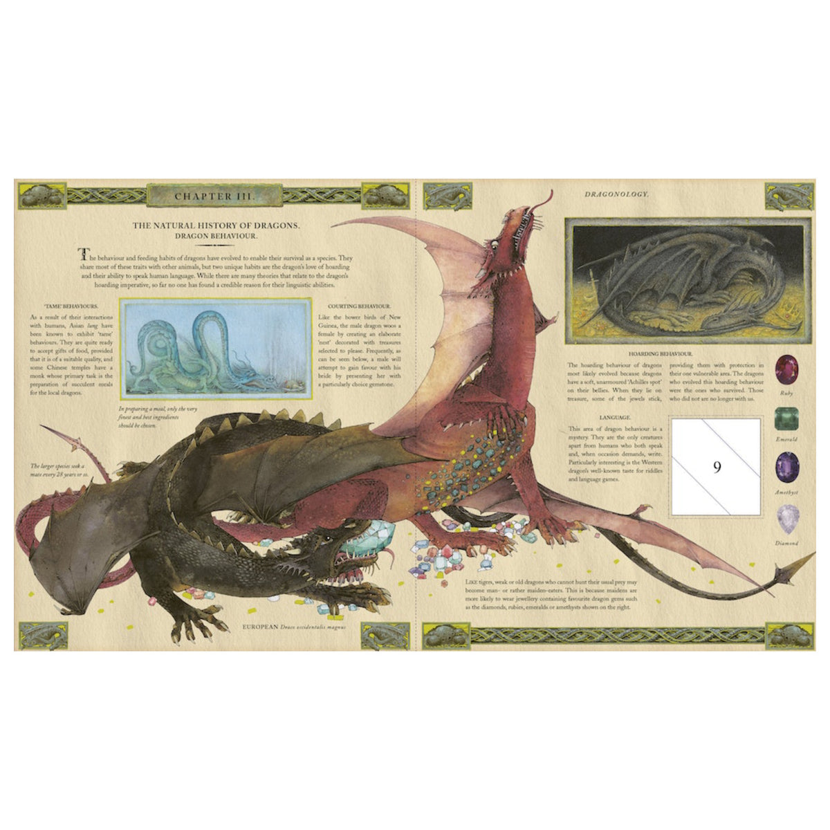 Open book spread about dragon behavior with illustrations of various dragons and gemstones on aged parchment.