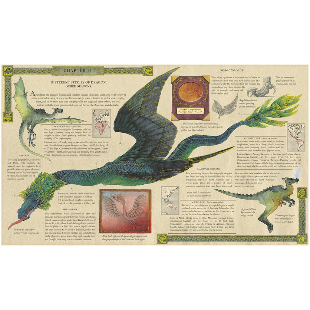 Dragonology The Complete Book Of Dragons My Small World Toy Store