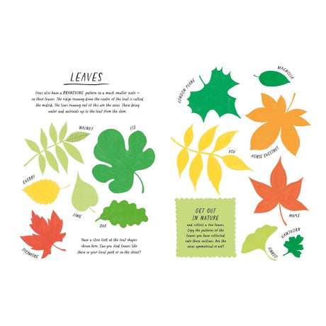 Illustrated guide of various colorful leaf shapes like oak, maple, and ginkgo with labels and educational nature facts.