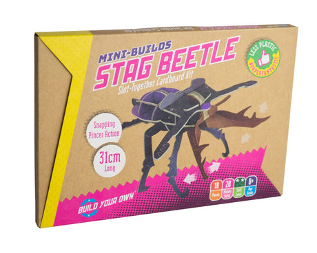Build Your Own Stag Beetle - Eco-Friendly Craft Kit