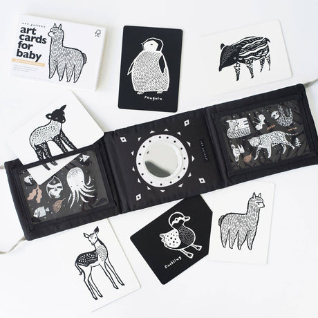 Baby Tummy Time Gallery Gift Set with Contrast Flash Cards