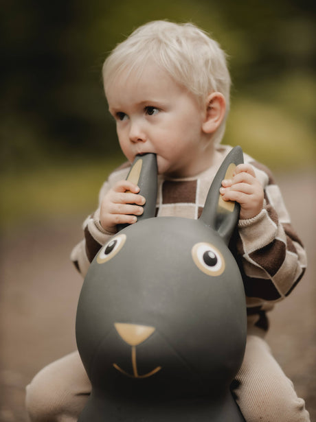 Bouncing Friend - Rabbit