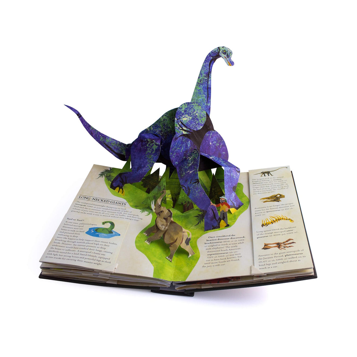 Pop-up book displaying a 3D dinosaur model standing over colorful illustrations and text about long-necked giants. The scene is vibrant and playful.