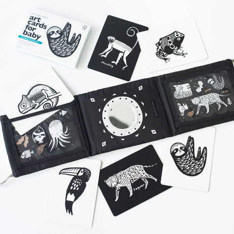 Baby Tummy Time Gallery Gift Set with Contrast Flash Cards