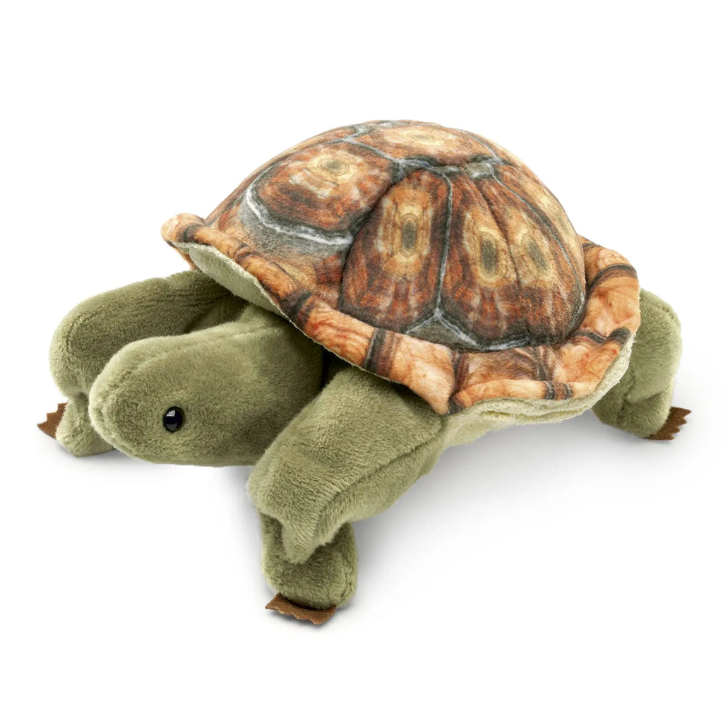 A plush toy turtle with a soft, green body and a textured, brown shell. The turtle has a friendly expression and is positioned facing forward.