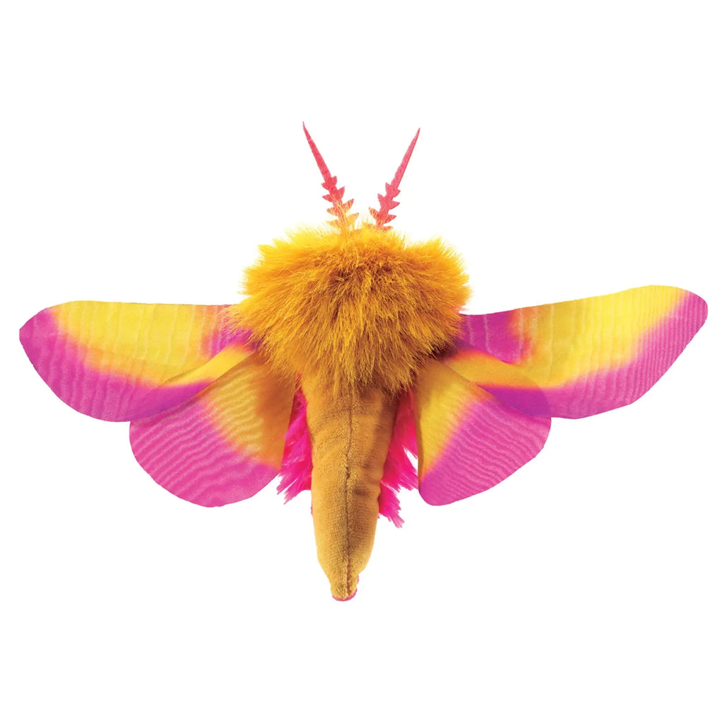 Brightly colored moth with vivid yellow and pink wings, a fluffy orange body, and vibrant red antennae, conveying a lively and cheerful tone.