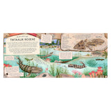 Educational book spread about Tiktaalik roseae fossils with illustrations of prehistoric fish and aquatic environments.