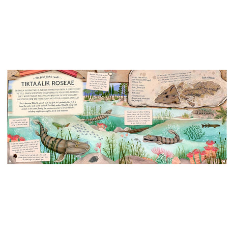 Educational book spread about Tiktaalik roseae fossils with illustrations of prehistoric fish and aquatic environments.