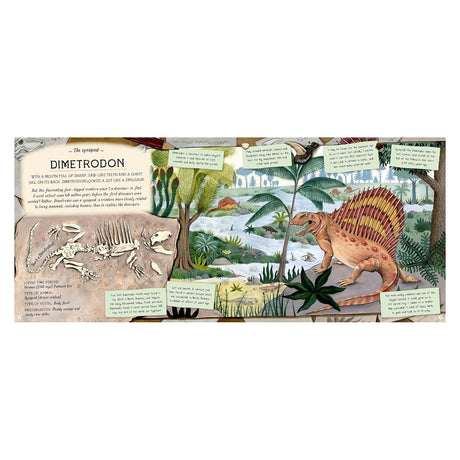 An illustrated book spread about the Dimetrodon synapsid, featuring a prehistoric landscape, fossils, and educational facts.